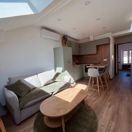 Terrasse Roof Climatise 公寓 *